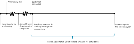 Data timeline